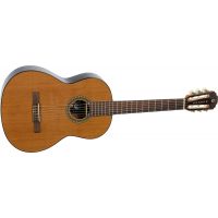 Pleyel Guitare Classique 